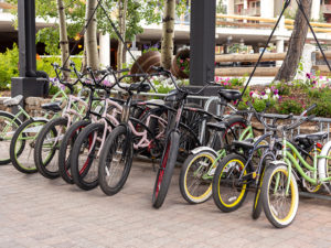 amenities - bike rental