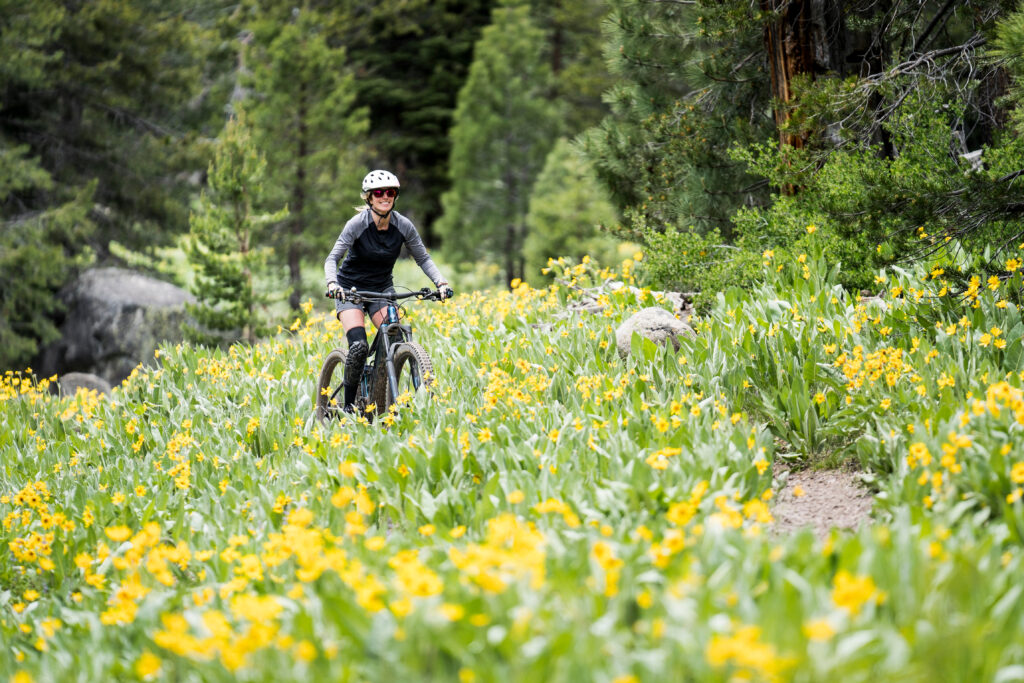 female mountain biker in meadow