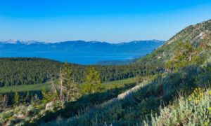 Lake Tahoe as seen from the summit trail on Mt. Rose near Reno,