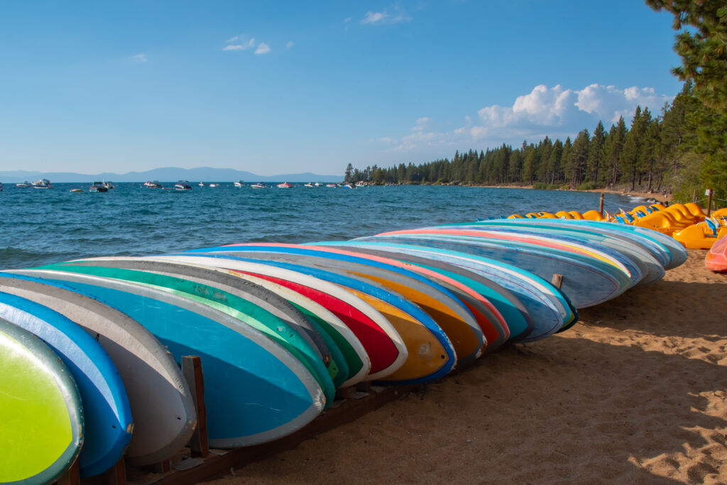 paddleboards lined up on shoreline